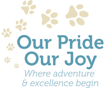 Our Pride, Our Joy Ltd